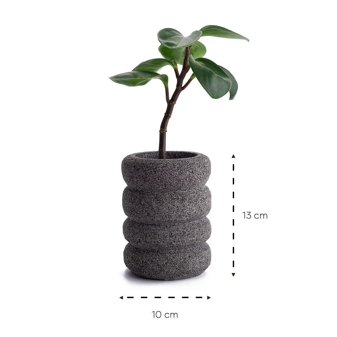 Dimensiones florero recinto