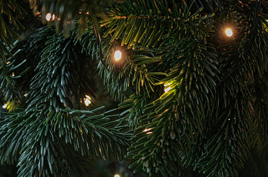 Imagen de acercamiento de árbol de Navidad