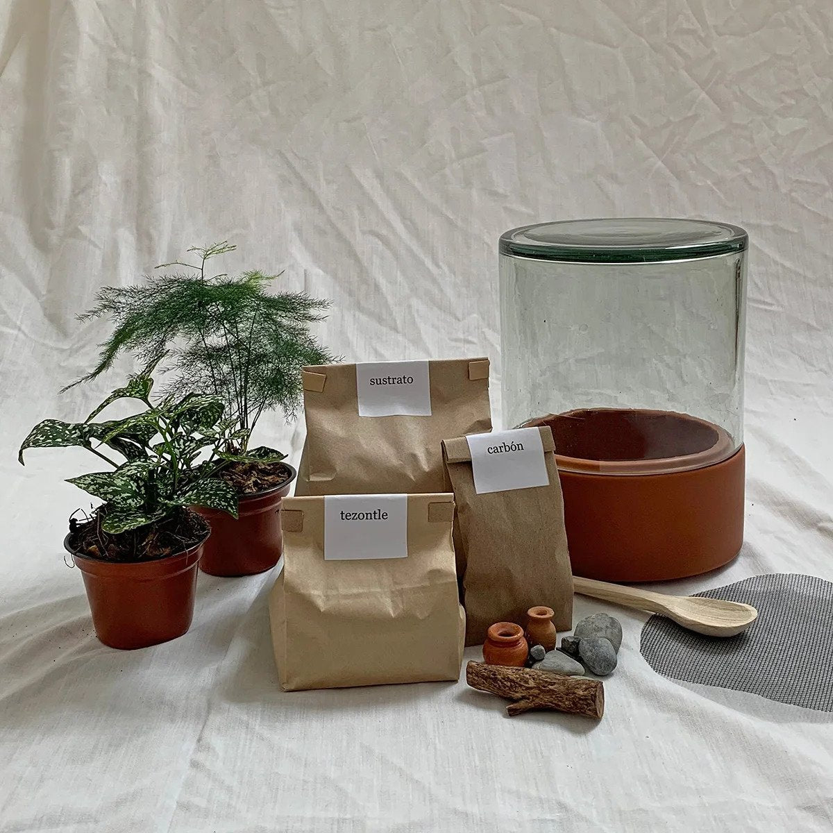 El kit de Terrario Lillipot incluye, 2 plantas, sustrato, carbón, tezontle, decoración, pala de madera y malla de filtración.